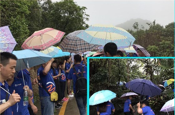 左右手師傅暴雨上山行 左右手師傅暴雨上山行