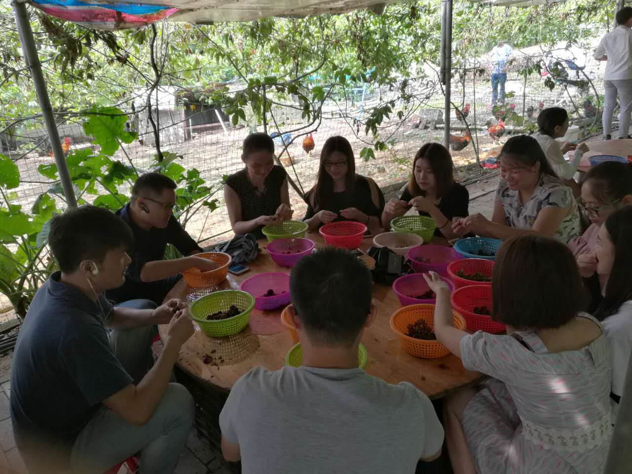 左右手清遠(yuǎn)葡萄園游玩 左右手清遠(yuǎn)葡萄園游玩