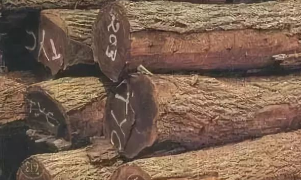 人造環(huán)保板材：實(shí)木家具的主流材種有哪些？