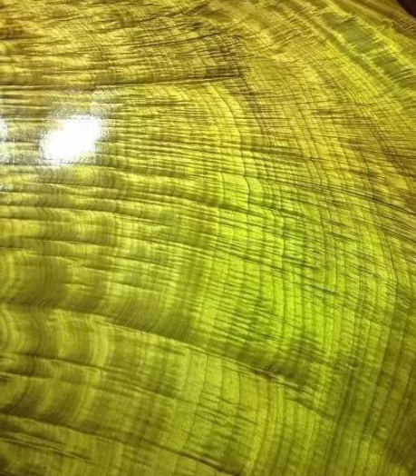 金絲楠烏木：如何區(qū)別金絲楠、黃心楠、黃金樟