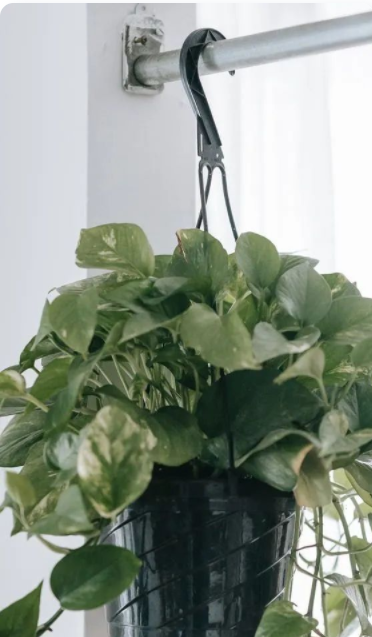 室內(nèi)設(shè)計(jì)專業(yè)培訓(xùn);消費(fèi)者對(duì)環(huán)保健康室內(nèi)設(shè)計(jì)、家具擺設(shè)和裝飾的需求，已成一股推動(dòng)力