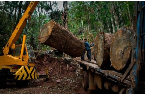 【新中式家具定制】中式家具選購(gòu)、陳設(shè)、保養(yǎng)全攻略！